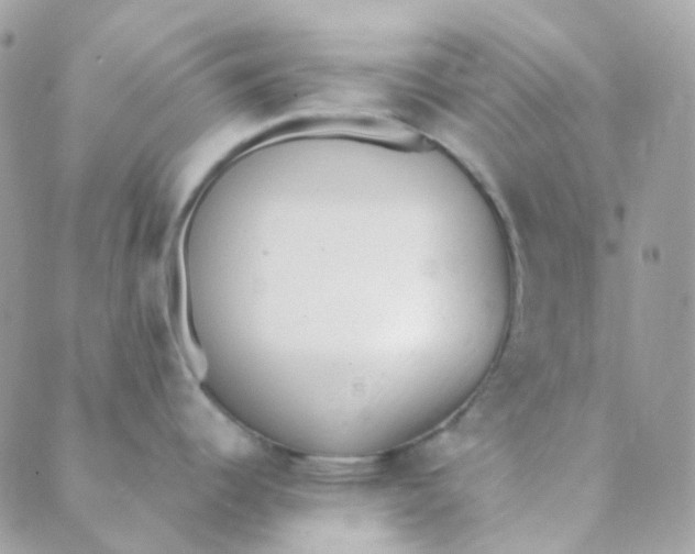 X0000089421344200707061309