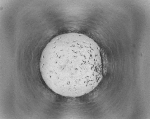 X0000089421345200707061308