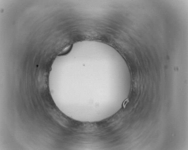 X0000089421346200707061308