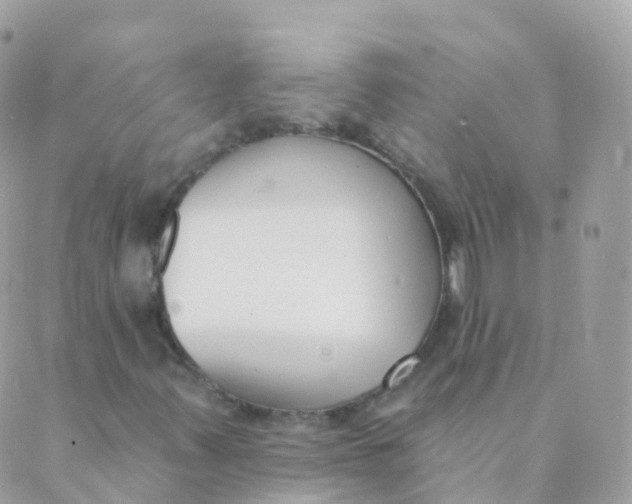 X0000089421347200707061308