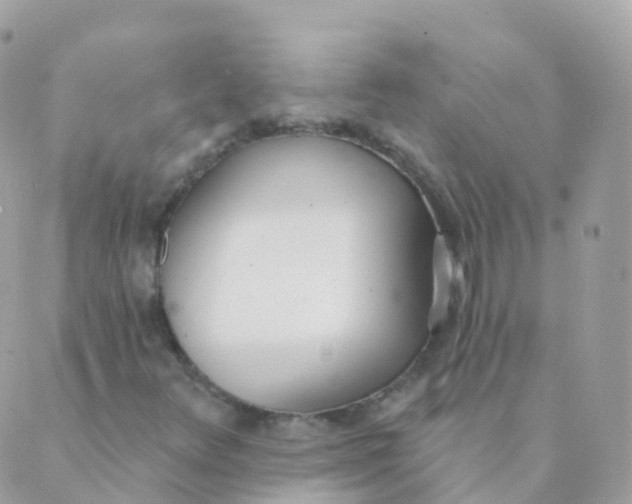 X0000089421348200707061308