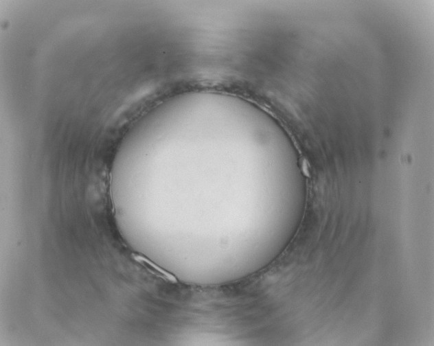 X0000089421349200707061308