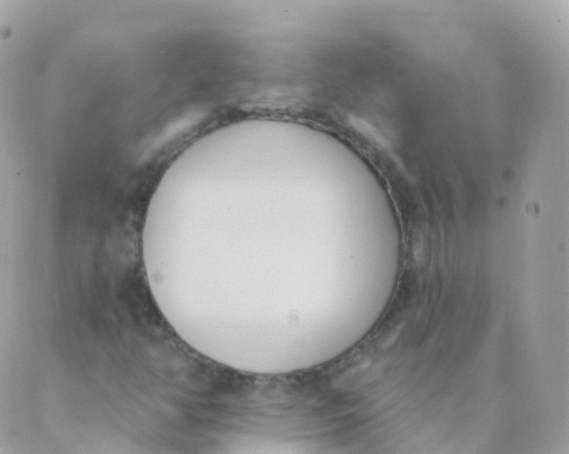 X0000089421350200707061308