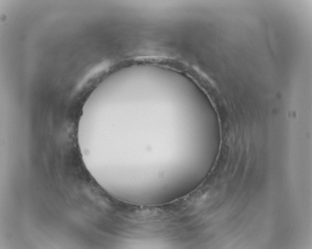 X0000089421351200707061308