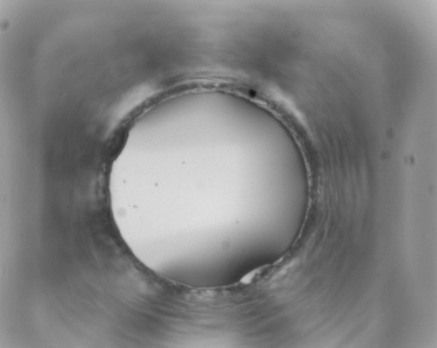 X0000089421352200707061308