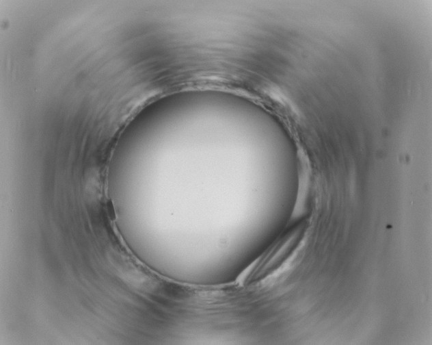 X0000089421353200707061308