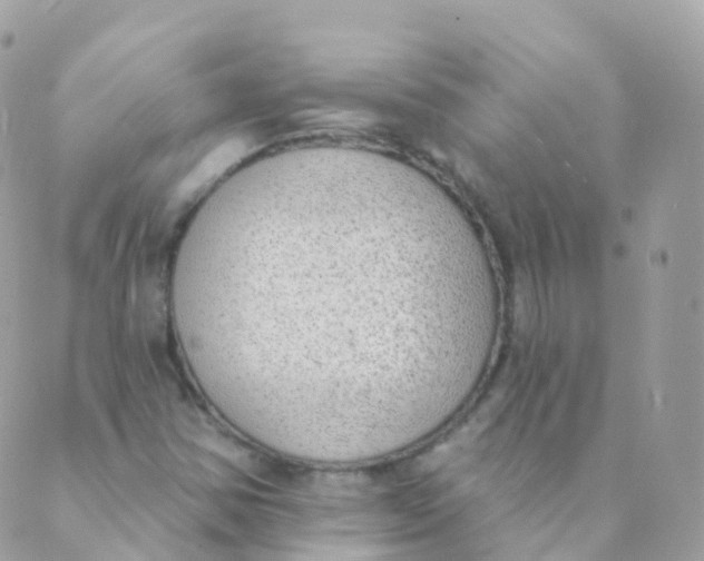 X0000089421354200707061308