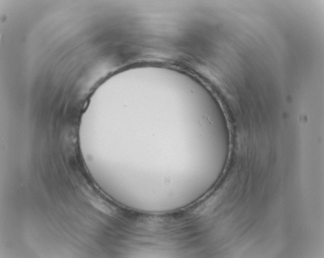 X0000089421355200707061308