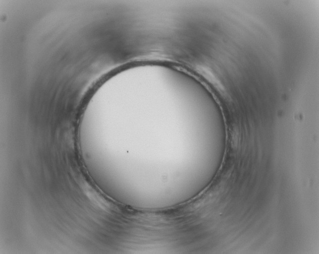 X0000089421356200707061308