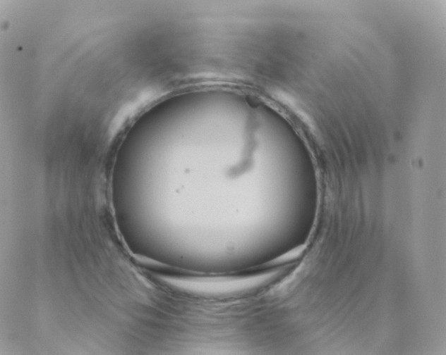 X0000089421357200707061308