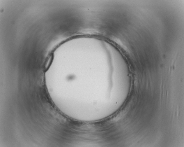 X0000089421358200707061308