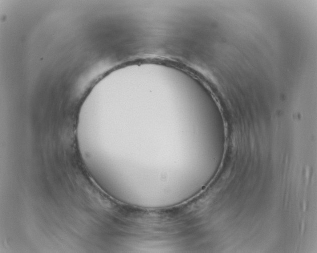 X0000089421359200707061308