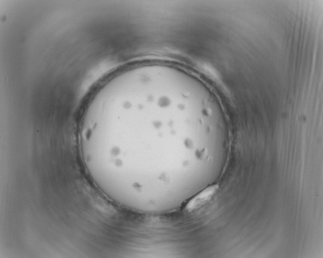 X0000089421360200707061308