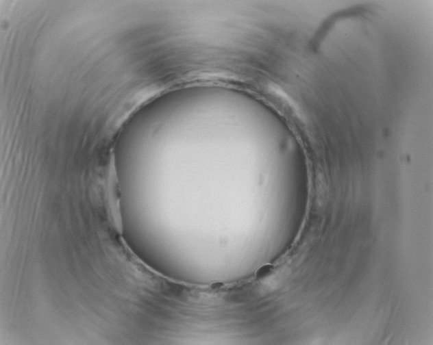 X0000089421361200707061308