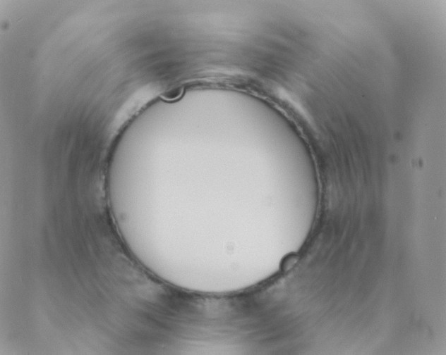 X0000089421362200707061308