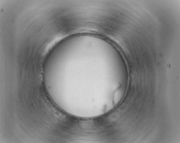 X0000089421363200707061308