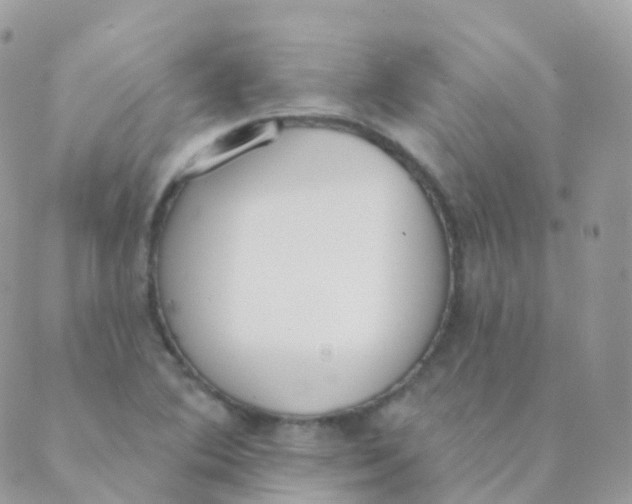 X0000089421364200707061308