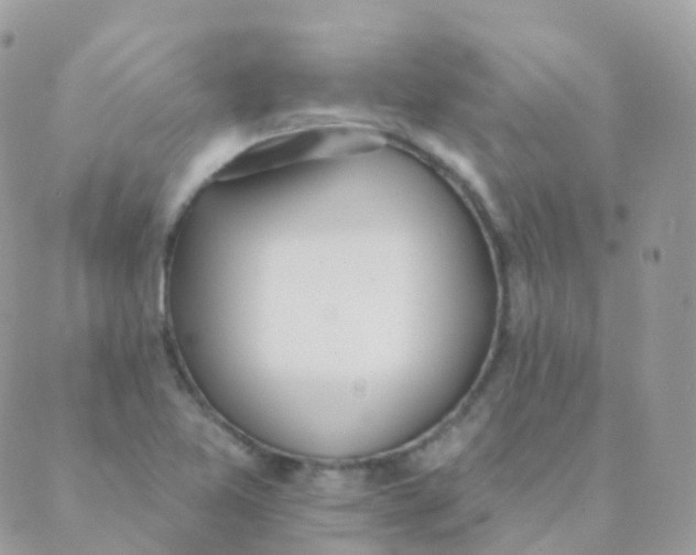 X0000089421365200707061308