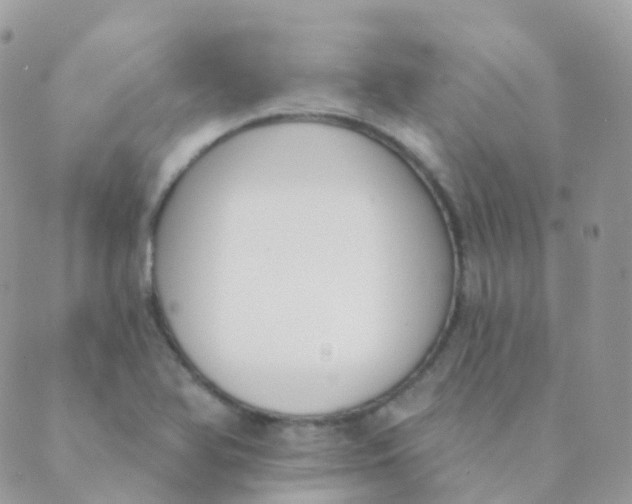 X0000089421366200707061308