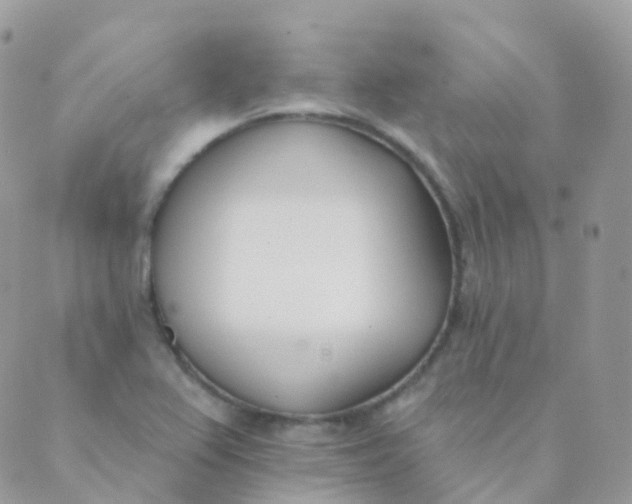 X0000089421367200707061308