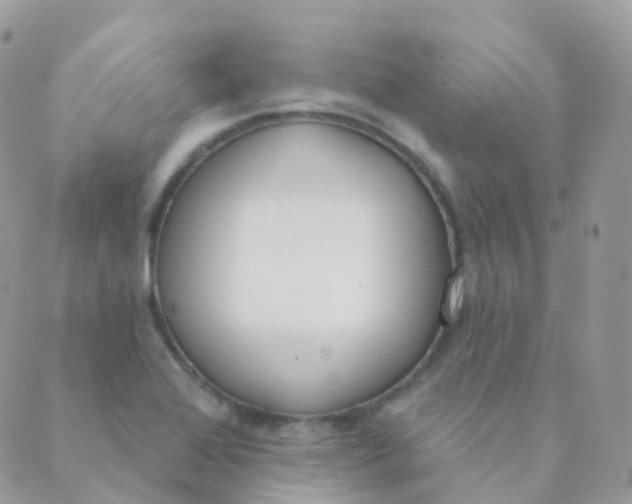 X0000089421368200707061308