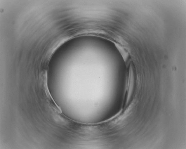 X0000089421369200707061308