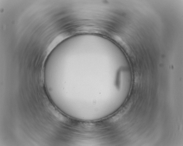 X0000089421370200707061308