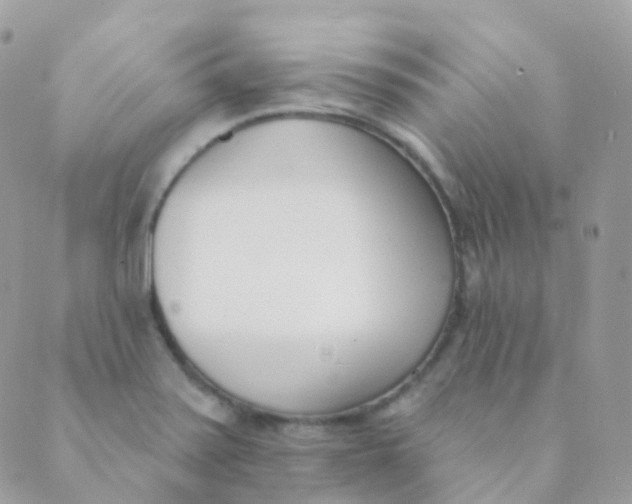 X0000089421371200707061308