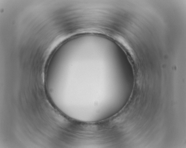 X0000089421372200707061308