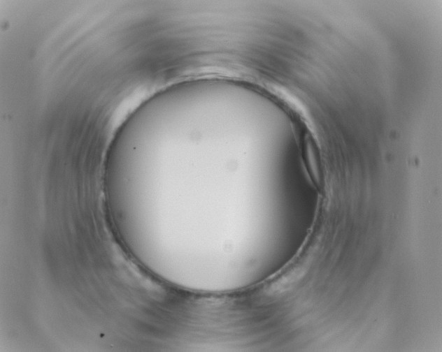 X0000089421373200707061308