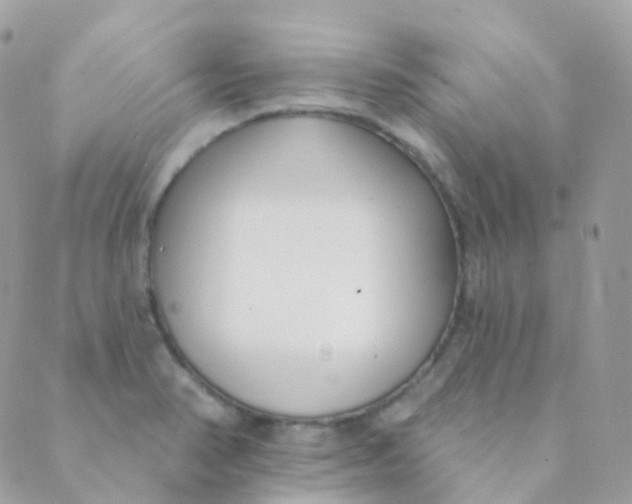 X0000089421374200707061308