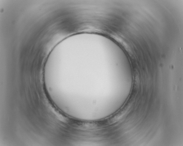 X0000089421375200707061308