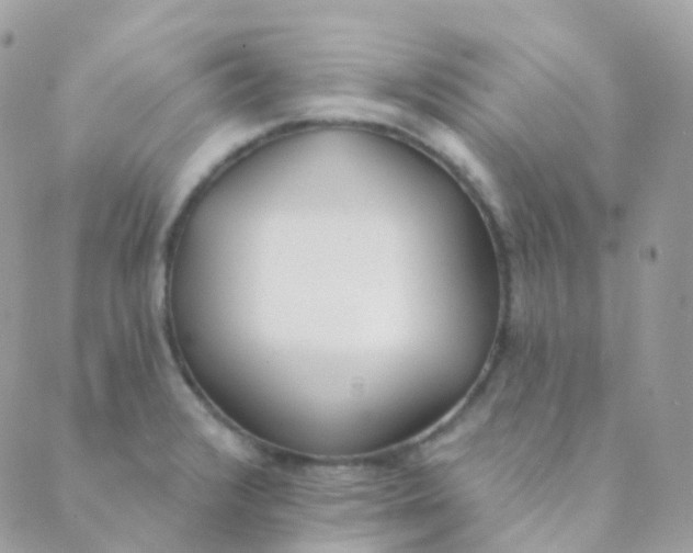 X0000089421376200707061308