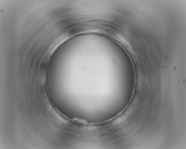 X0000089421377200707061308