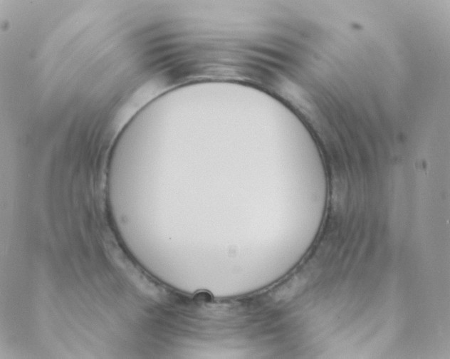 X0000089421378200707061308