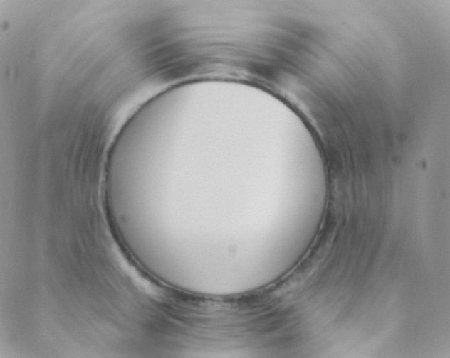 X0000089421379200707061308