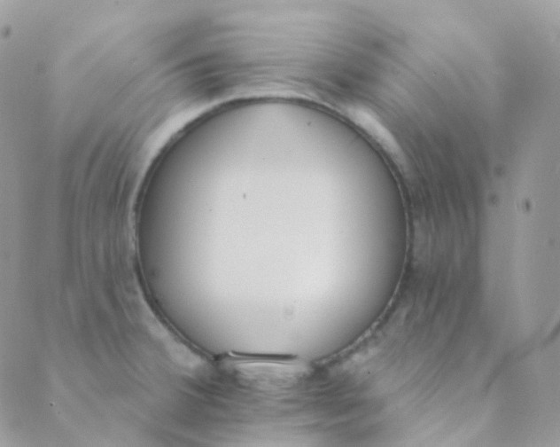 X0000089421380200707061308