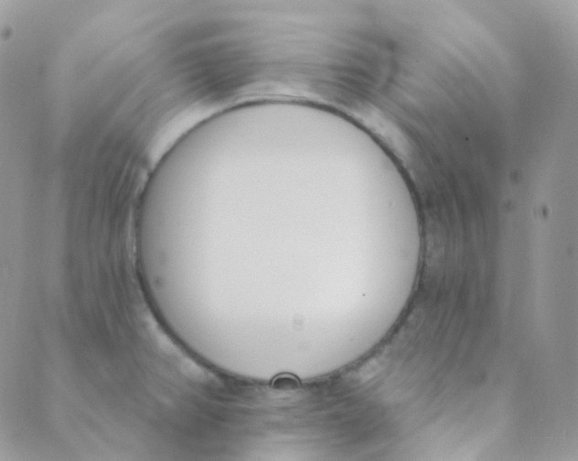 X0000089421382200707061308