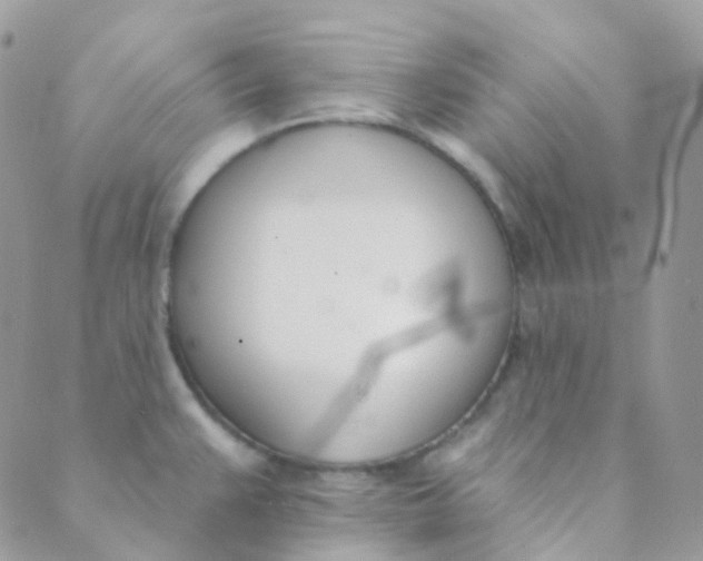 X0000089421383200707061308