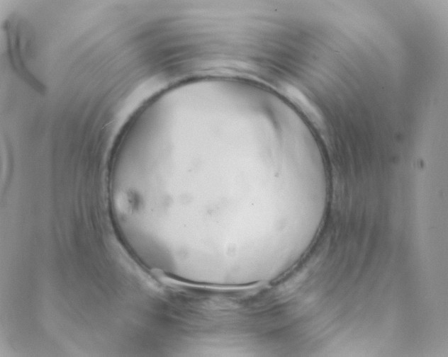 X0000089421384200707061308