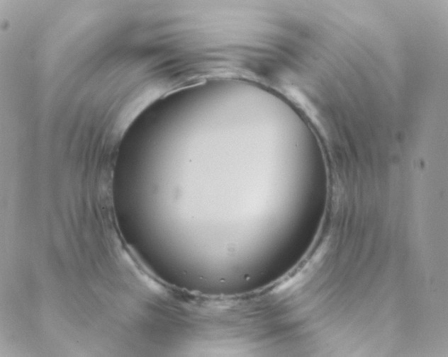 X0000089421385200707061308