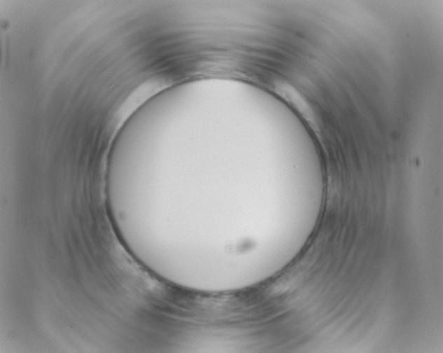 X0000089421386200707061308