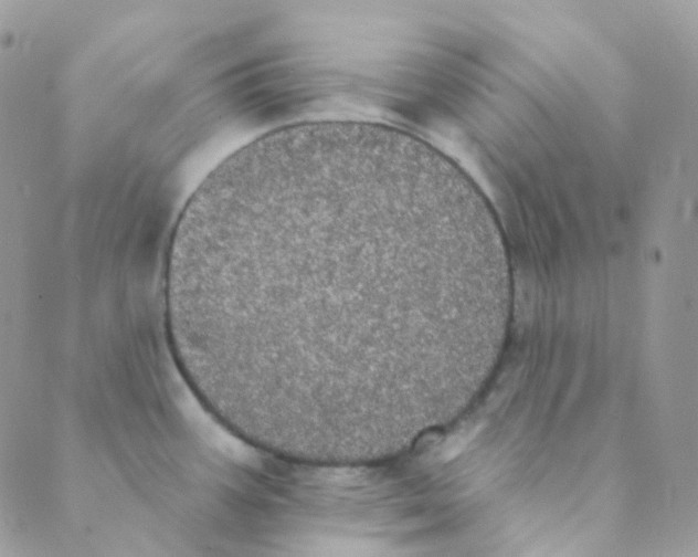 X0000089421387200707061308