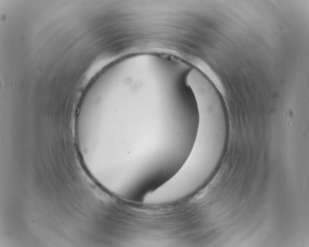 X0000089421388200707061308