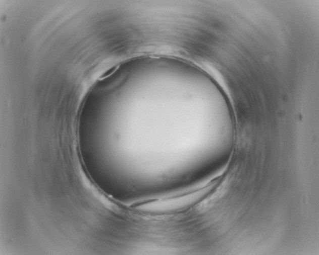 X0000089421389200707061308