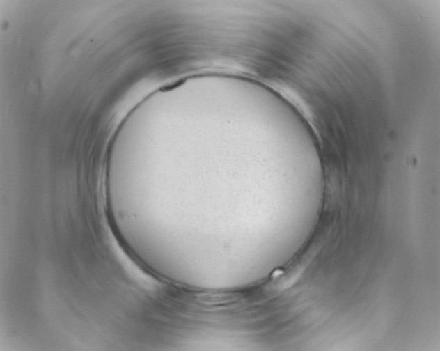 X0000089421391200707061308