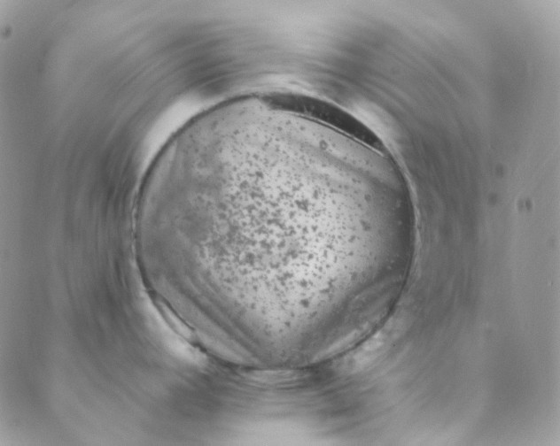 X0000089421392200707061308