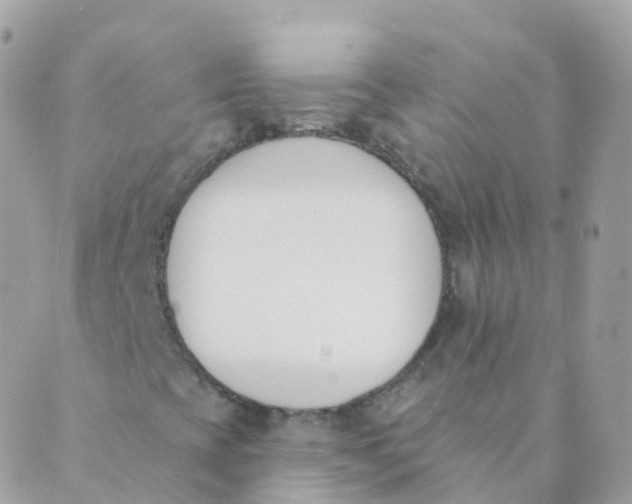 X0000089421393200707061307