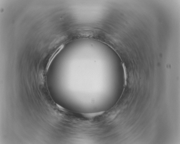 X0000089421394200707061307