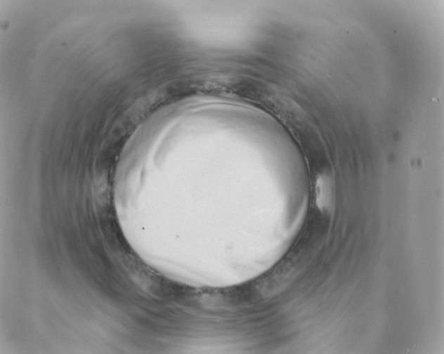 X0000089421395200707061307